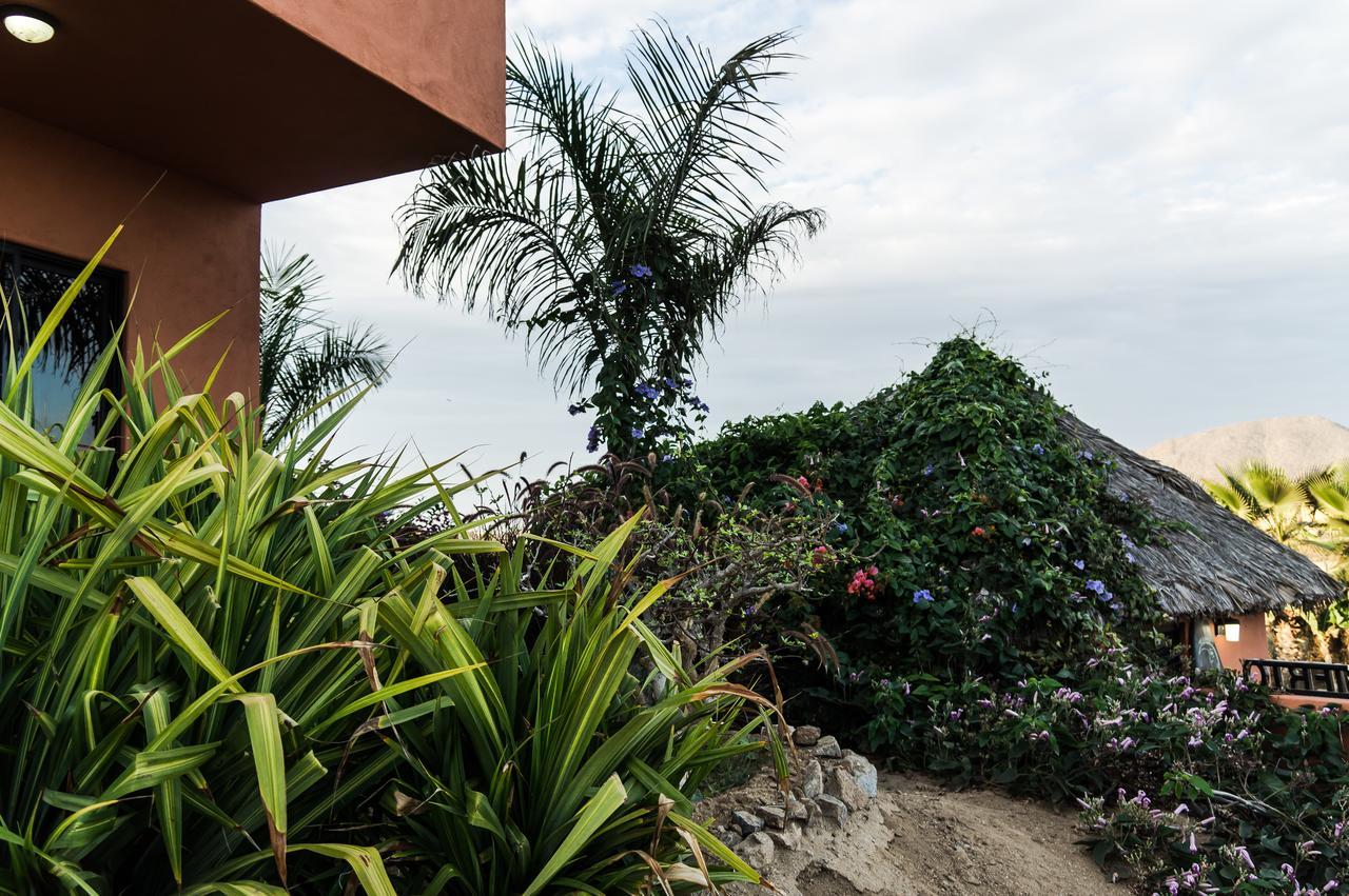 Cerritos Beach Hotel Desert Moon El Pescadero  Exterior photo